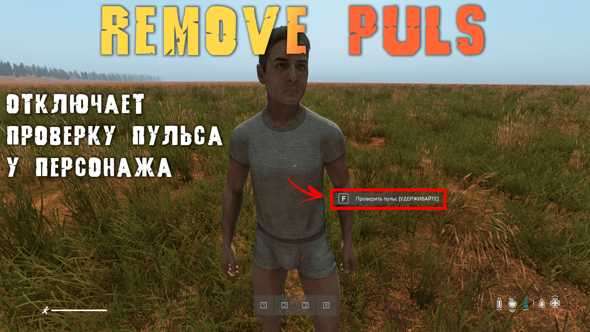 Remove Pusle